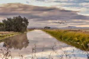 Agreement Buys Time on New Klamath Project Ops Plan